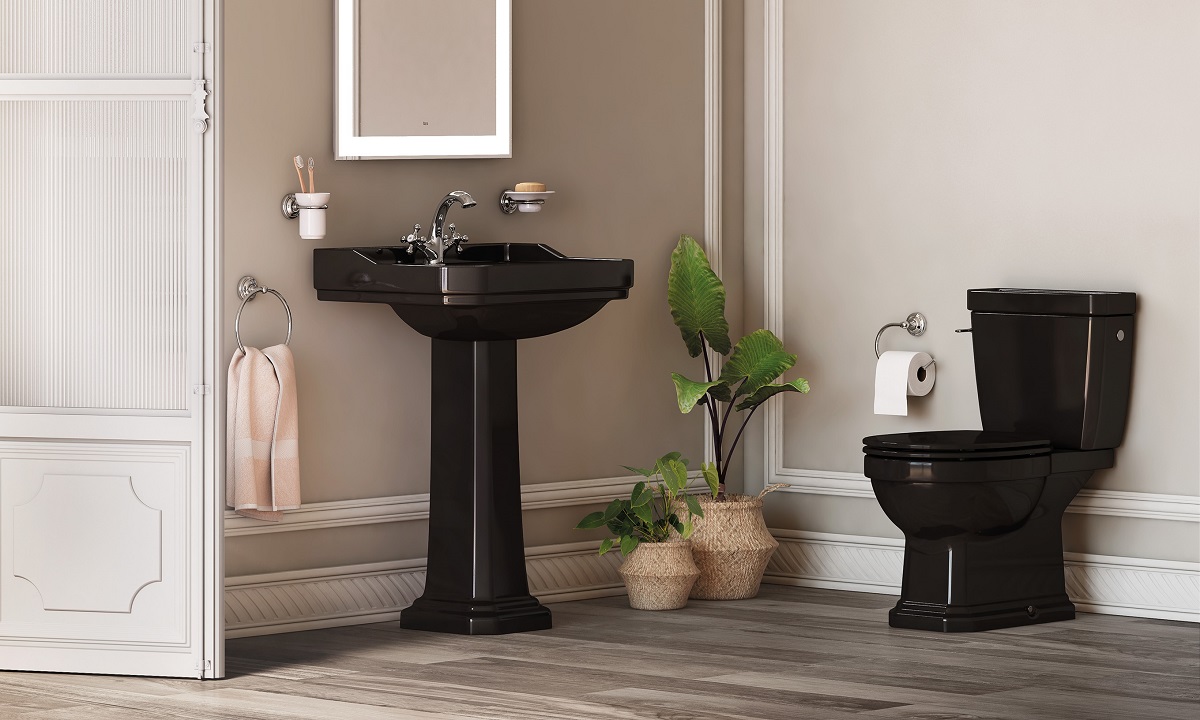 Tipos de inodoro negro y lavabo Roca